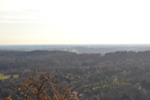 dsc_0427